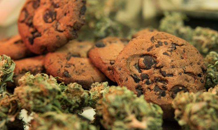 edible products with cannabis in social clubs