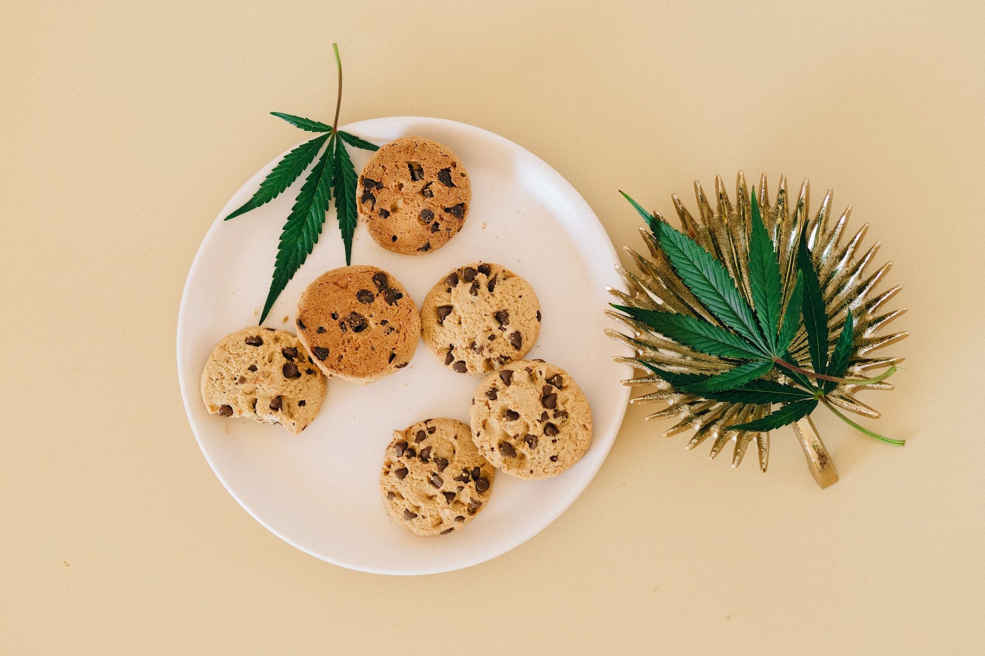 Edible cannabis products